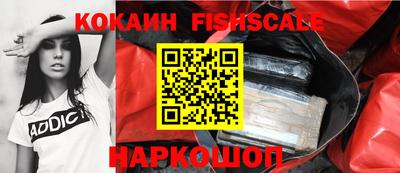 индика Можайск
