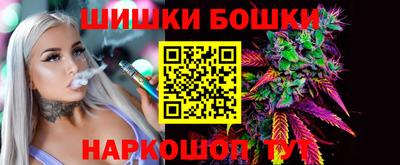 индика Можайск