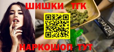 индика Можайск