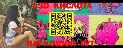 индика Можайск